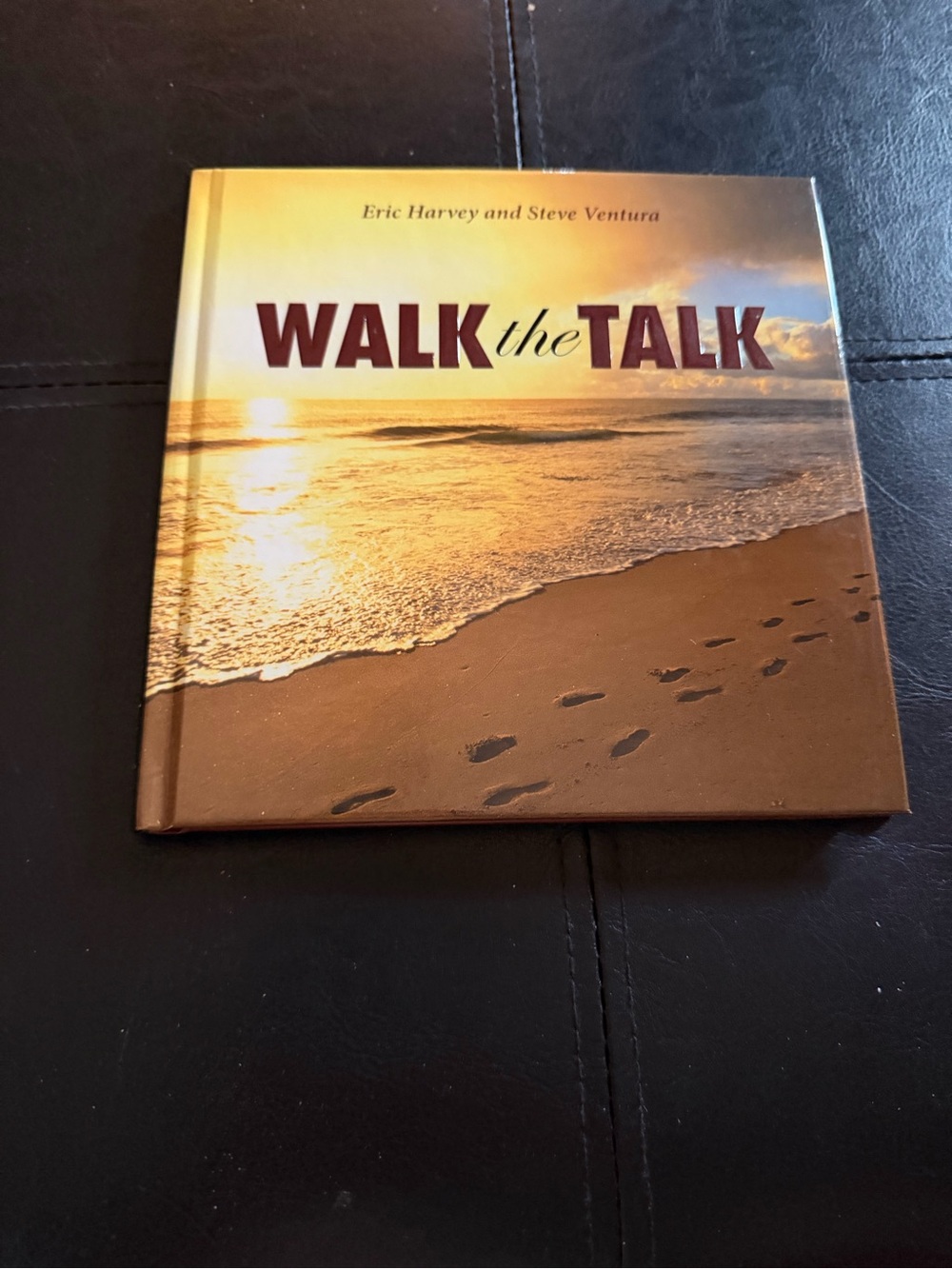 Walk the Talk DVD — Sunset Beach Artwork (Brown, Gold)